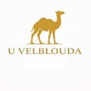 U Velblouda